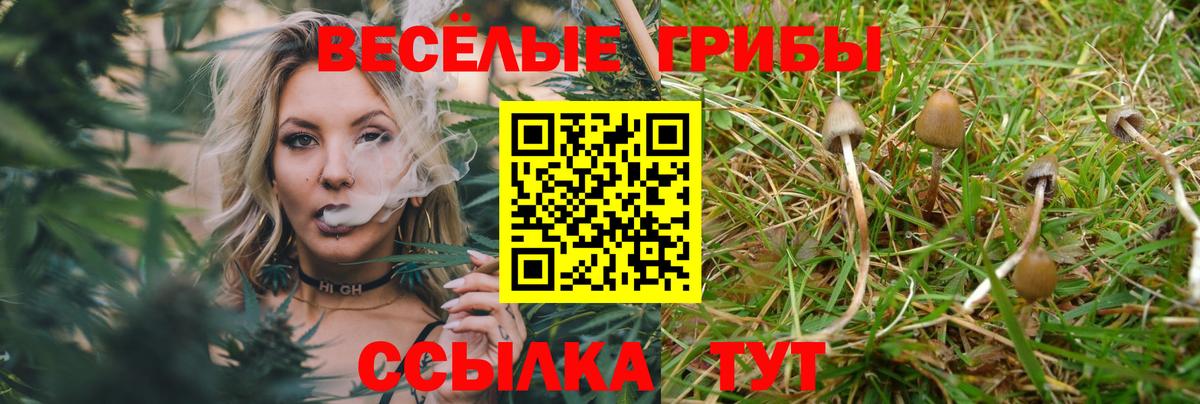 Псилоцибиновые грибы ЛСД Красноармейск